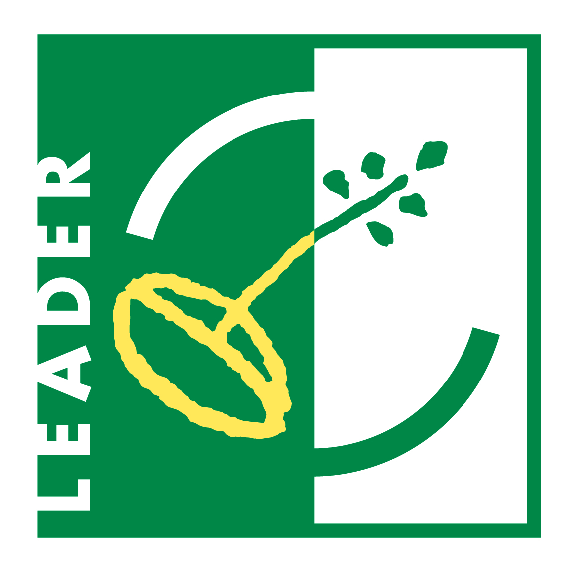 LEADER